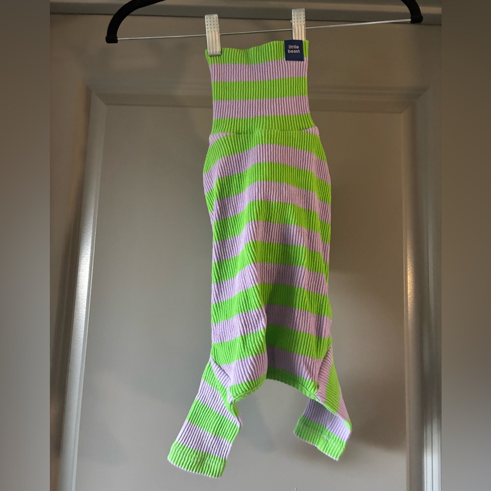 Little Beast - Striped Green and Purple Dog Sweater